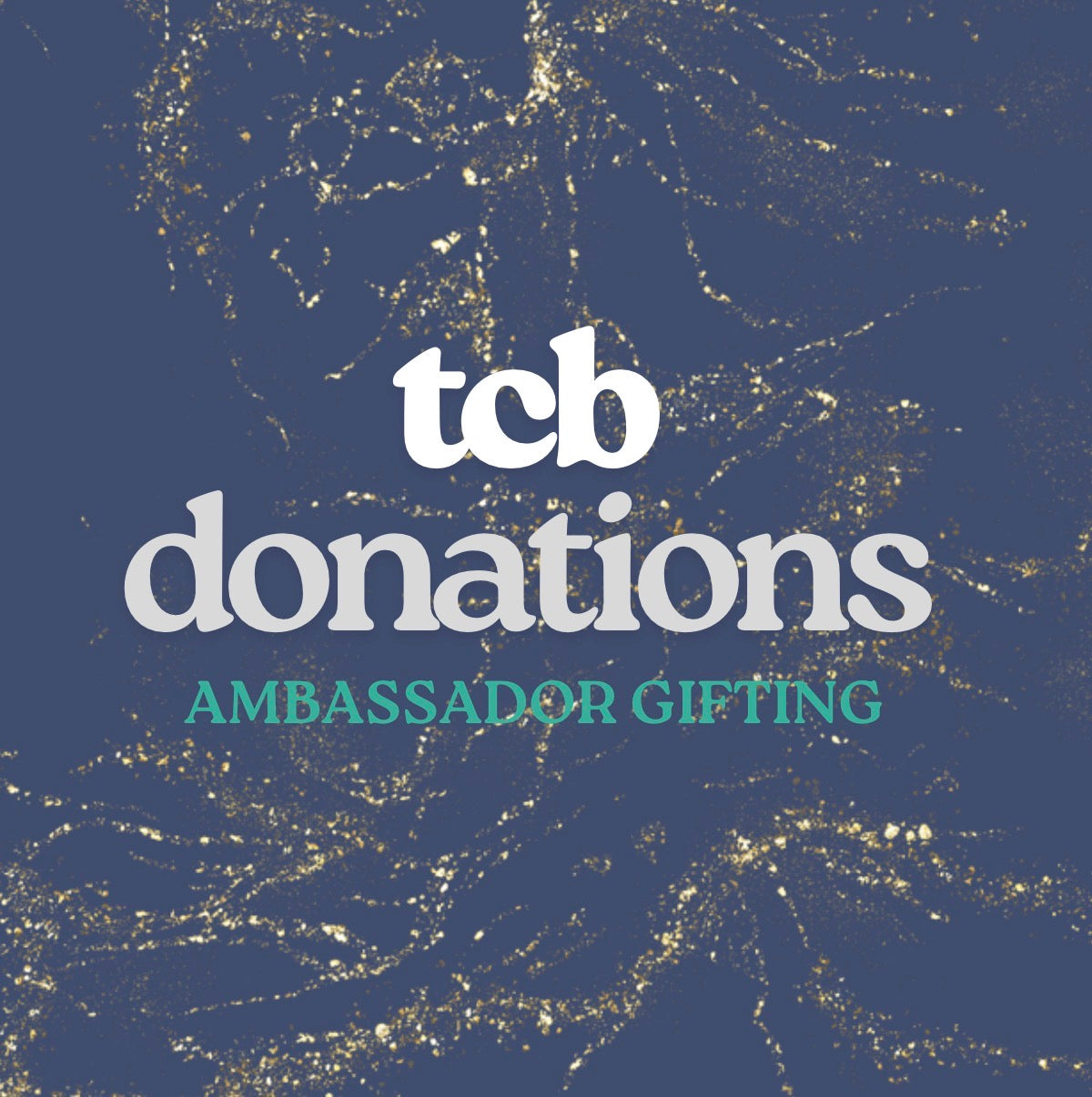 AMBASSADOR TEAM DONATIONS